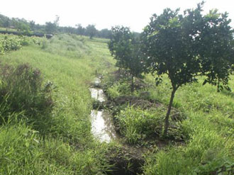 Trenches for water and soil conservation in Bamhani Base Centre